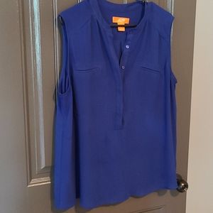 Royal blue blouse